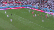 Iran Taj GIF