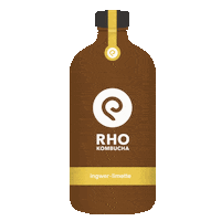 rhokombucha rho kombucha rhokombucha Sticker