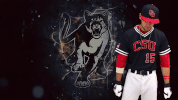 GIF by Columbus State University Athletics
