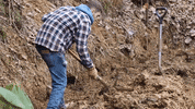 Dirt Work Digging GIF by JC Property Professionals