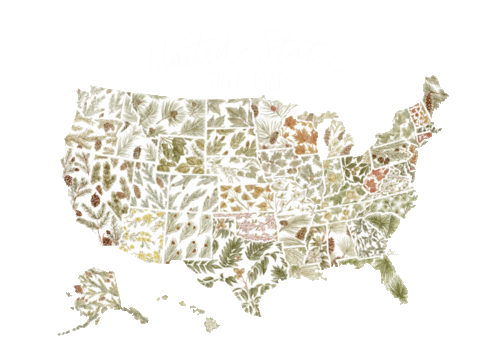 amberartistry giphyupload travel green tree Sticker