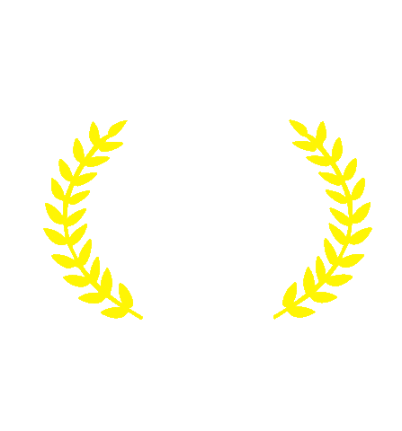 School Anglo Sticker by Colégio Suller Garcia