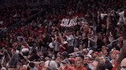 Basketball Fans GIF by Colgate Athletics