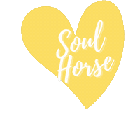 Horse Hdf Sticker by Heels Down Fitness