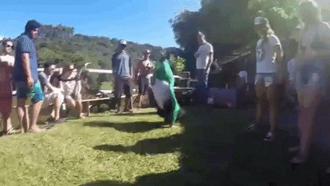 cervejariastannis giphyupload mortal carlo stannis GIF