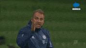 Bayern Munchen Bundesliga GIF by MolaTV