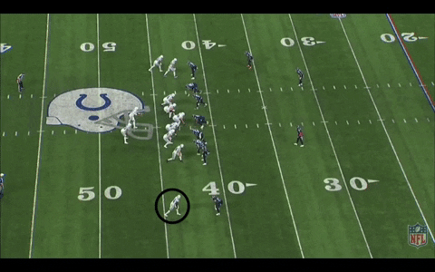 zachhicks giphygifmaker GIF