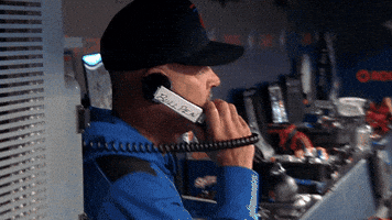 Blue Jays Baseball GIF by Toronto Blue Jays