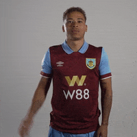 Hallo Premier League GIF by Burnley Football Club