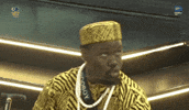Bbnaija Speaking GIF by Big Brother Naija