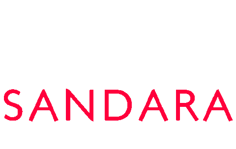 vicentegandia giphyupload wine vino sparkling Sticker