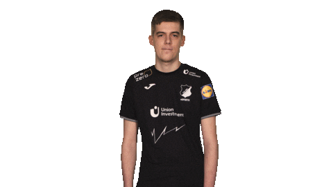 Vbl Hoffenheim Sticker by Bundesliga