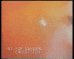 battle for endor wicket GIF by mdleone