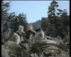 battle for endor wicket GIF by mdleone