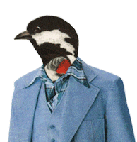 Fun Sticker Sticker by Ryan Seslow