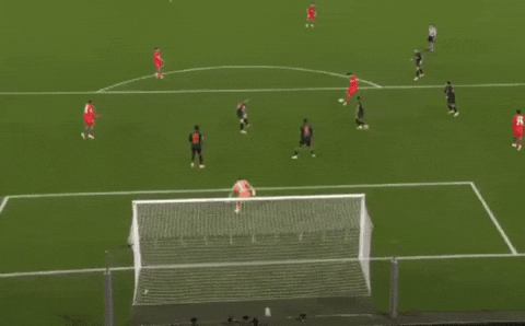 Paris Saint-Germain Psg GIF