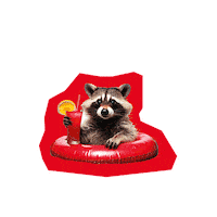 Cocktail Racoon Sticker by Deutscher Gewerkschaftsbund (DGB)