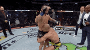 Jose Aldo Sport GIF by UFC