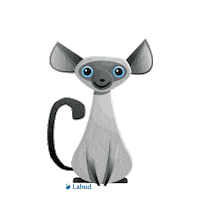 Labud_hr happy cat animal pretty Sticker