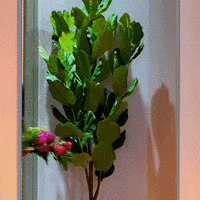 I Love You Flowers GIF by Lifetime