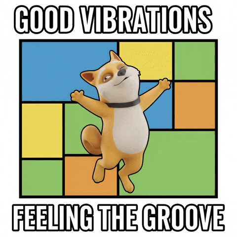 GIF by Doge Pound