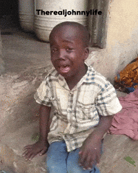 Chocolate Chip Cookie Laughing GIF