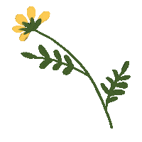 Flower Spring Sticker