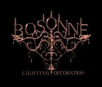 Bosonne_lighting  GIF