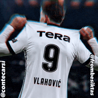 Besiktas GIF