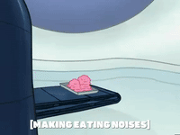 season 5 GIF by SpongeBob SquarePants