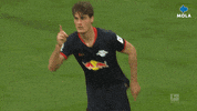 Patrik Schick Reaction GIF by MolaTV