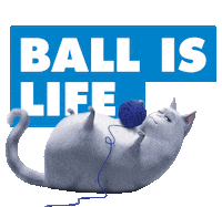 Cat Dog Sticker by The Secret Life Of Pets
