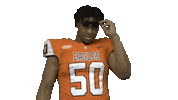 Cnfb Sticker by Carson-Newman Athletics