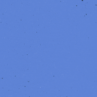 Teo Bilgiyarismasi GIF by Türkiye Entelektüel Oyunları
