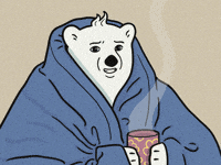 bearlypawsitive awkward sarcastic alright wth GIF