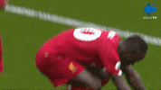 Happy Premier League GIF by MolaTV