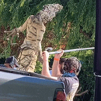 The Birch Hearts GIF by Crypt TV