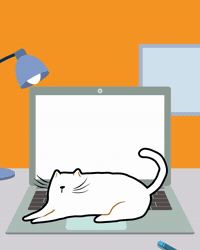 Summerholidays GIF by Lacom Besocial