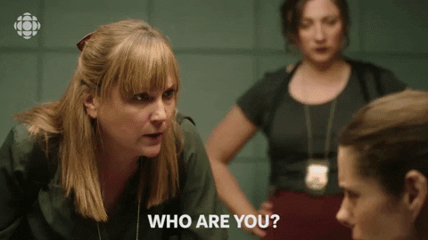 baroness von sketch police GIF