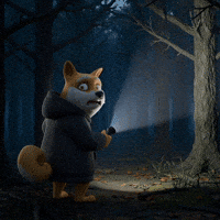 Scared Shiba Inu GIF by Doge Pound