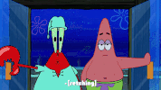 season 9 GIF by SpongeBob SquarePants