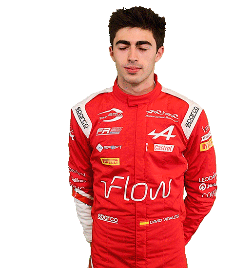 David Alpine Sticker by Prema Team