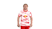 Football Celebrating Sticker by RB Leipzig