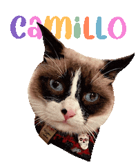Cat Camillo Sticker
