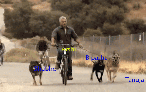 Arshi GIF