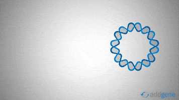 Addgene question question mark microbiology molecular biology GIF