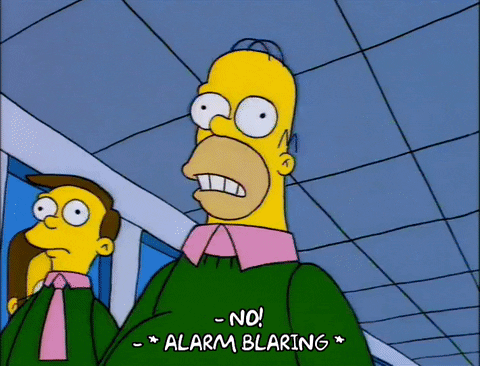 homer simpson episode 6 GIF