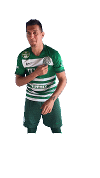 Ftc Fradi Sticker by Ferencvárosi Torna Club