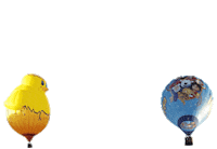 ballonfestival_hardenberg feest samen vieren jubileum Sticker