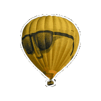 Luchtballon Sticker by Ballonfestival Hardenberg